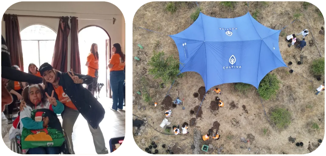 Una actividad con personas mayores y una plantación vista desde el aire