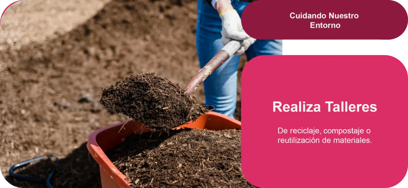 Realiza talleres de reciclaje, compostaje o reutilización de materiales.